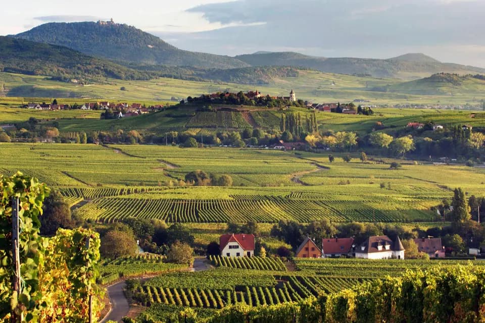 Becker Jean — photo 1