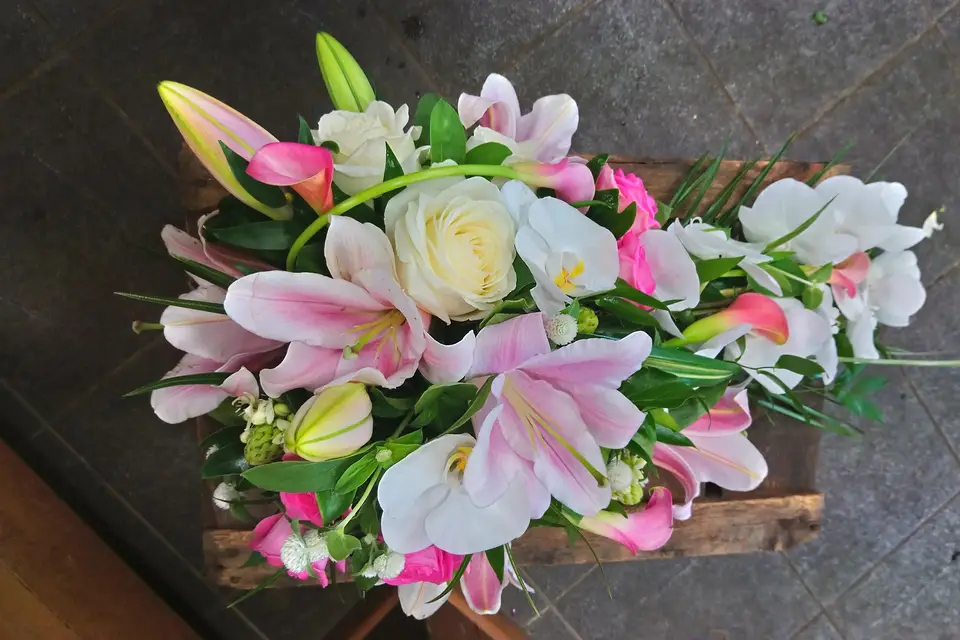 Mademoiselle Ivy Event — photo 3