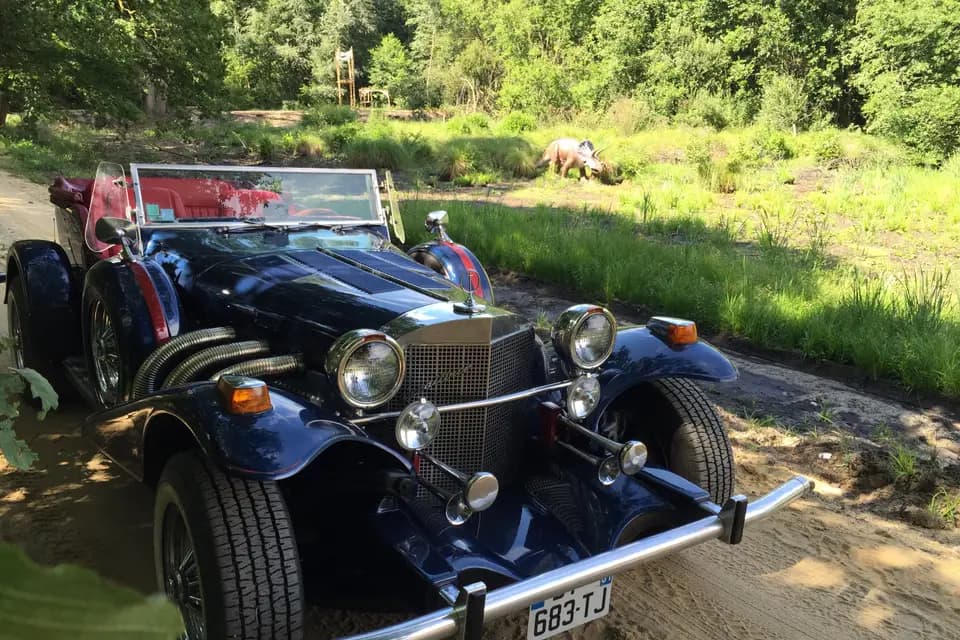 Perche Excalibur — photo 2