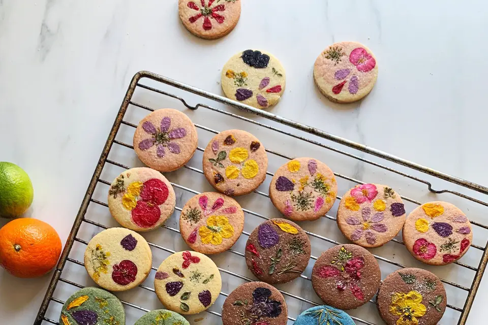 Lizookies — photo 3