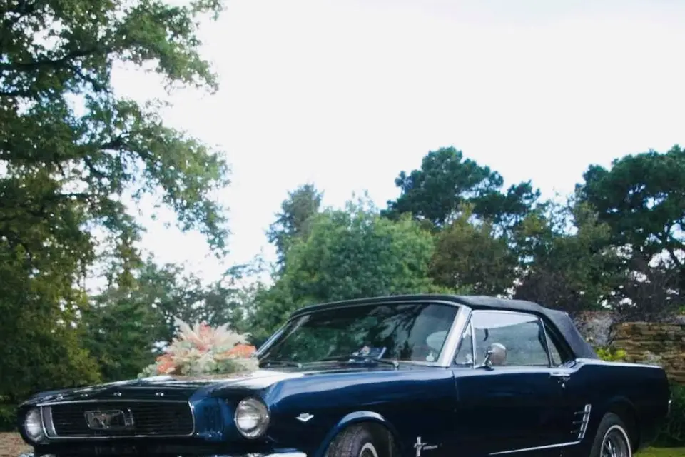 VL Location Auto — photo 4