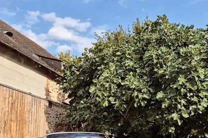 VL Location Auto — photo 6