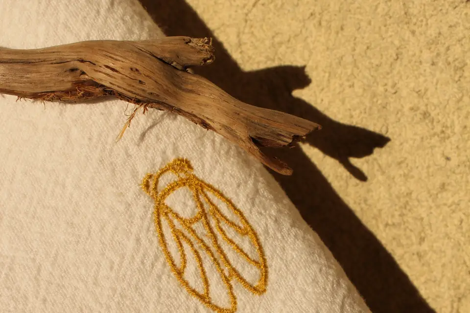 Rêves de Cigale — photo 8