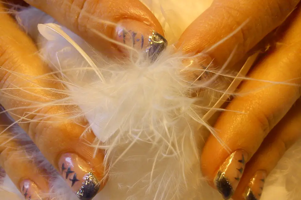 Mariages et Compagnie — photo 2