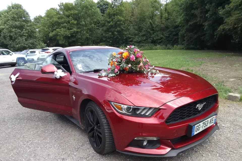 Mustang Concept Event