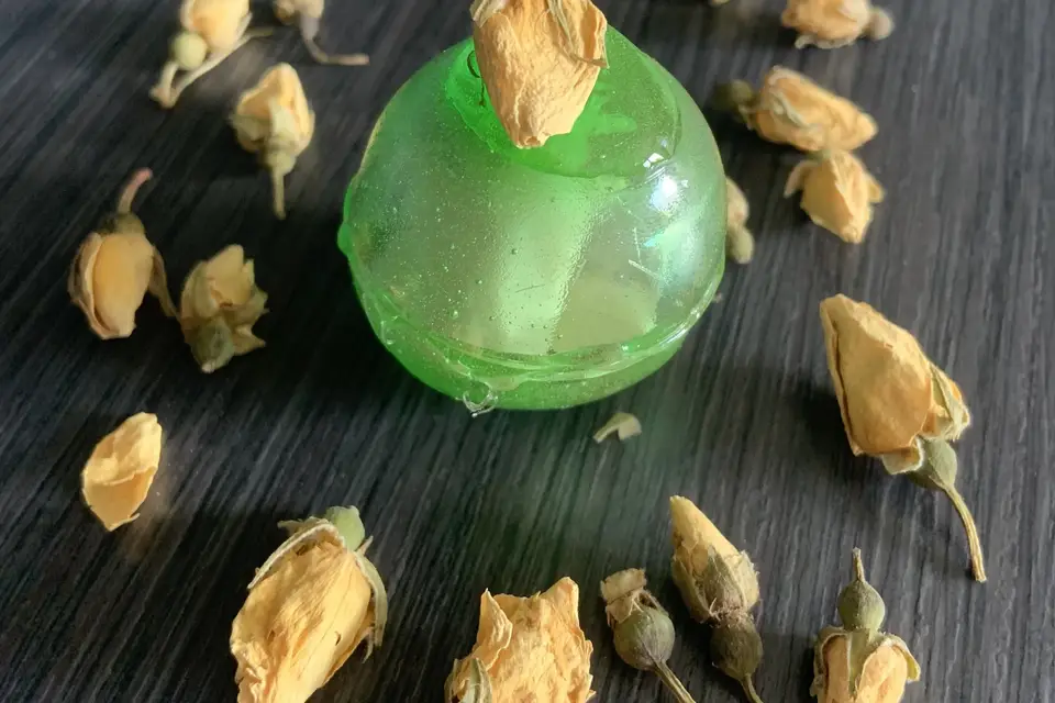 Bienfuse — photo 6