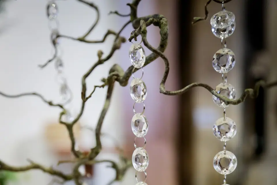 Fabienne Calvo Events — photo 2