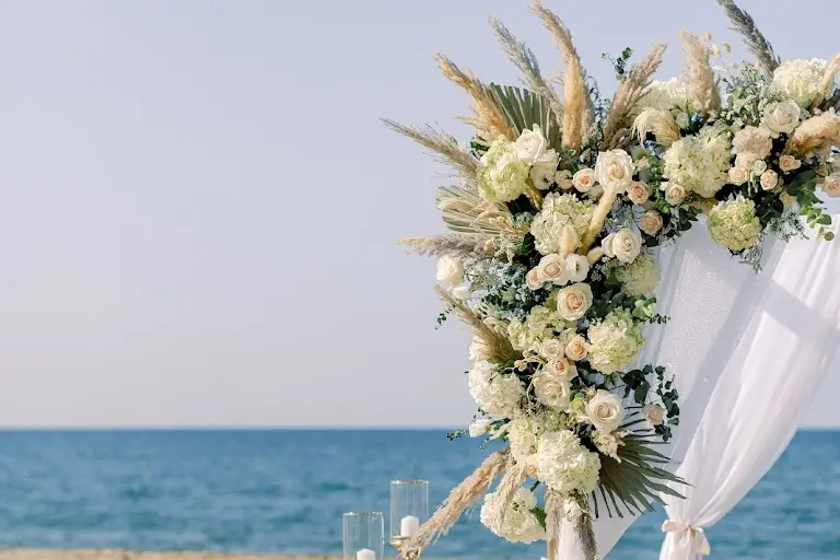 Dream Day — photo 3