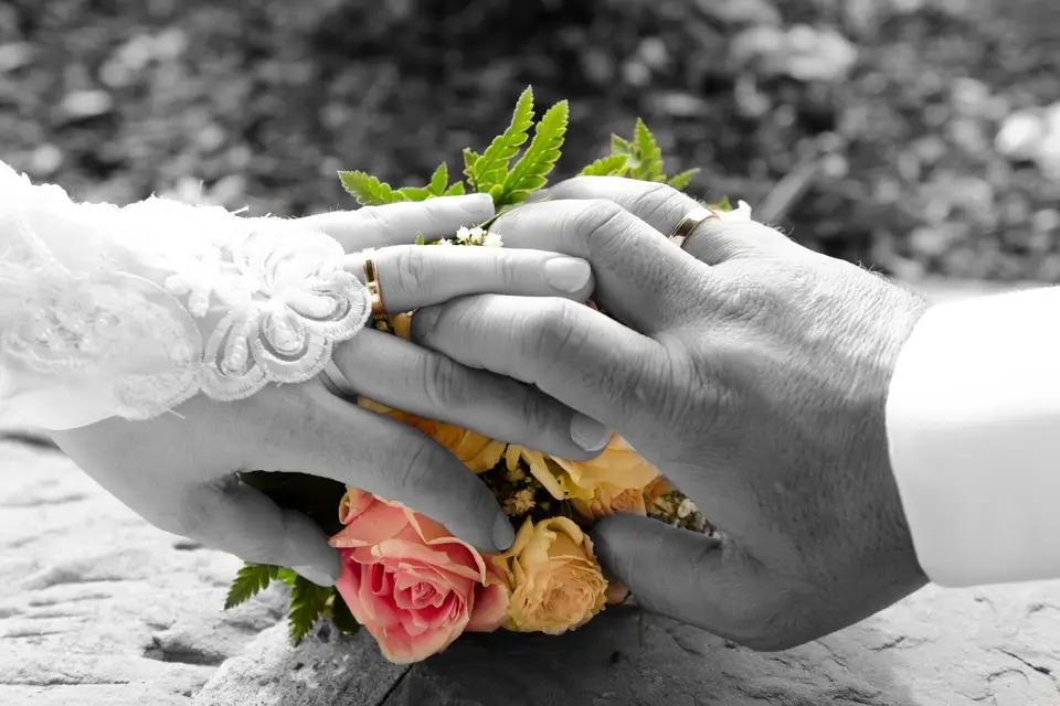 Photoquid — photo 1