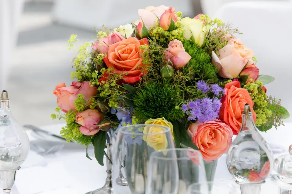 Photoquid — photo 6