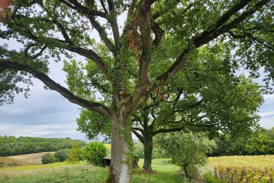 Kath'Event — photo 5