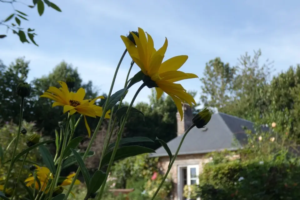 Les Petits Matins Bleus — photo 8