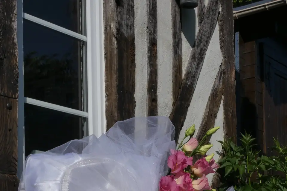 Les Petits Matins Bleus — photo 2