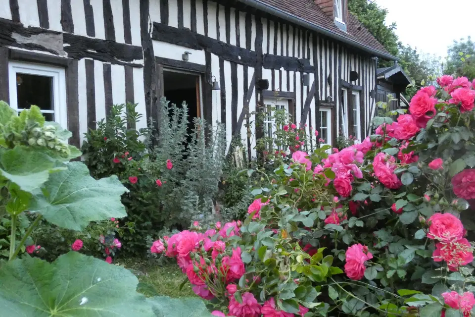 Les Petits Matins Bleus — photo 6