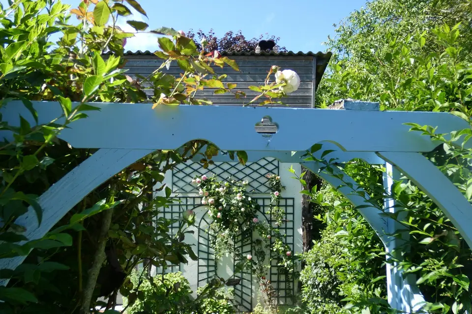 Les Petits Matins Bleus — photo 7