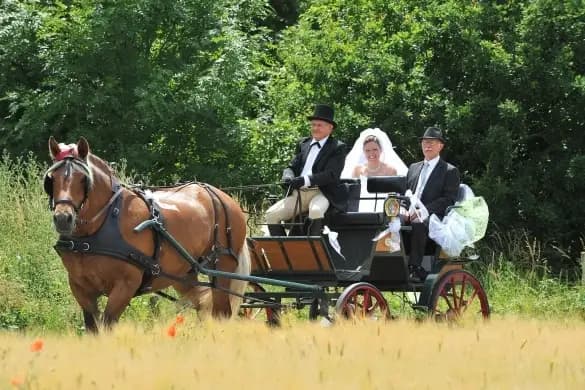 Paris Photo — photo 1