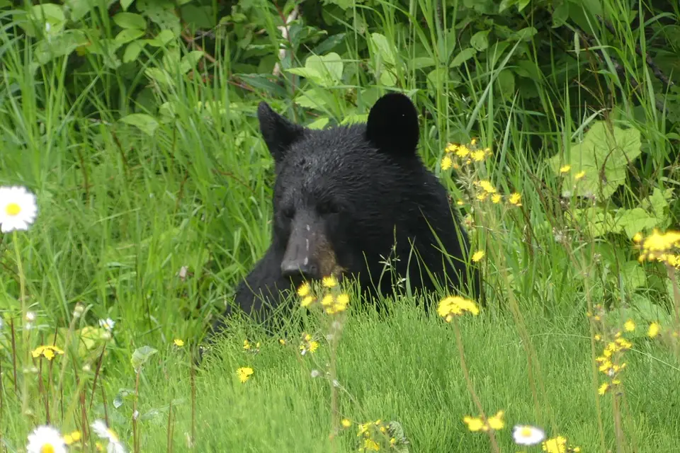 Alakarte Voyages — photo 6