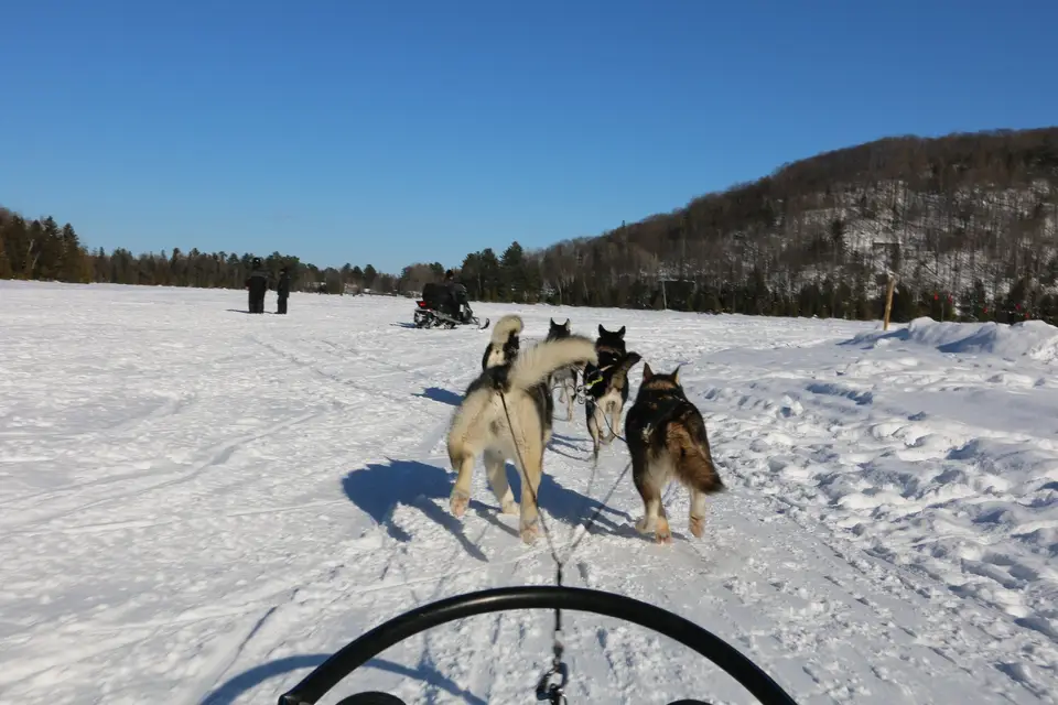 Alakarte Voyages — photo 2