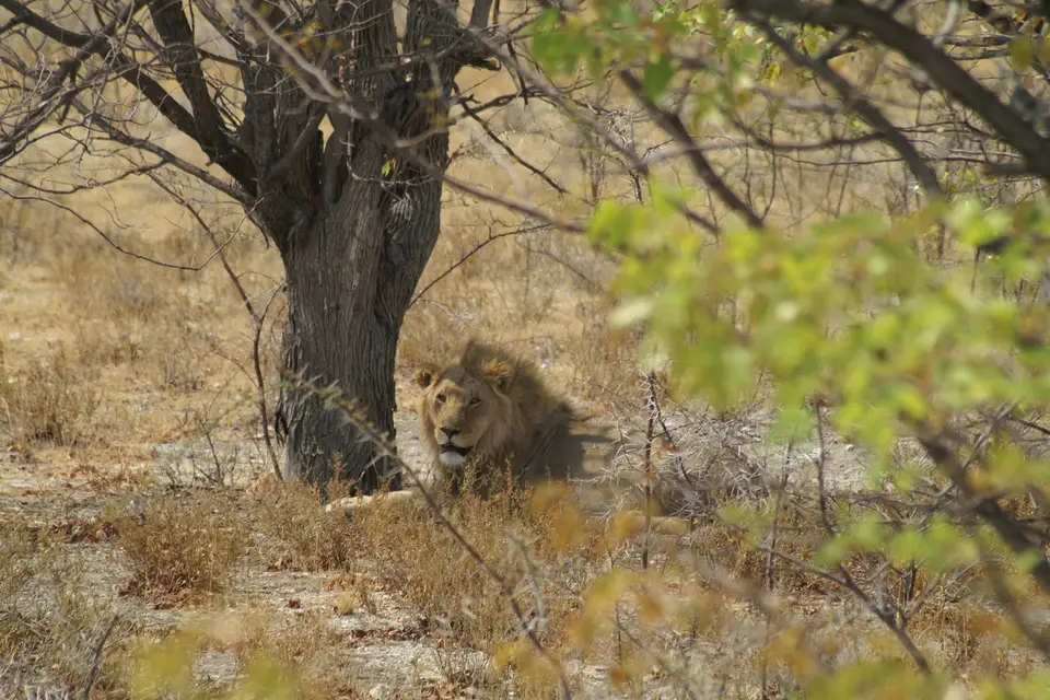 Alakarte Voyages — photo 3