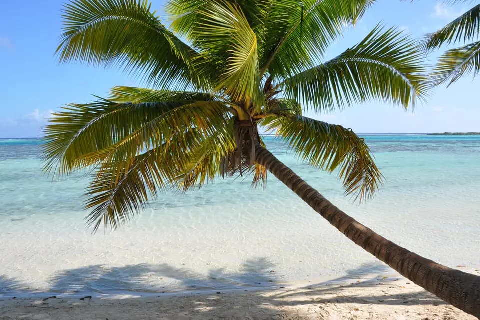 Alakarte Voyages — photo 1