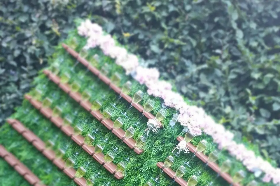 MaguyLocation — photo 6