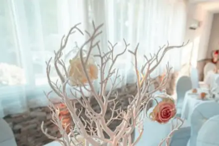 MaguyLocation — photo 5