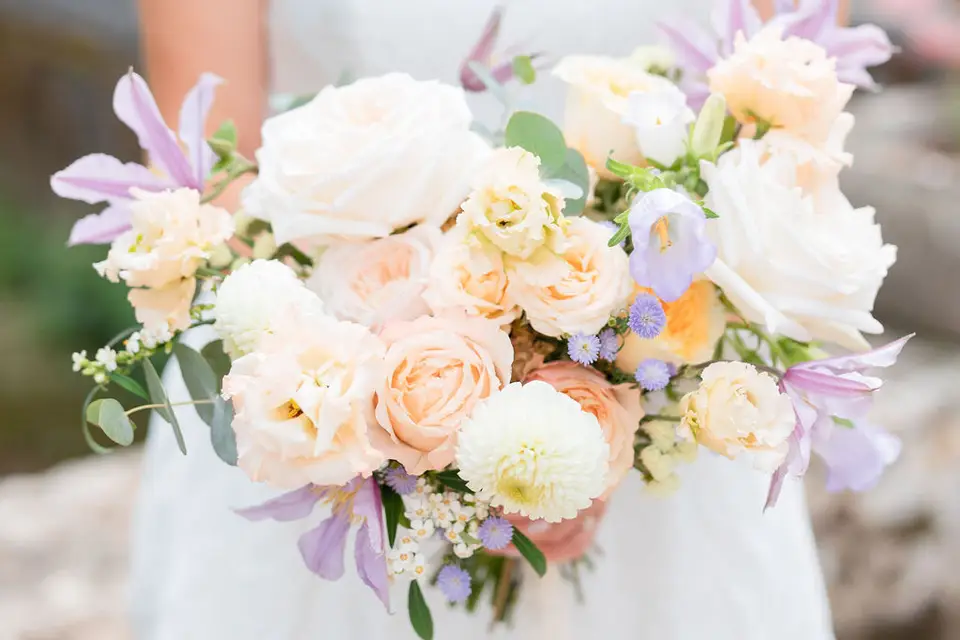 Le Clos Végétal — photo 1