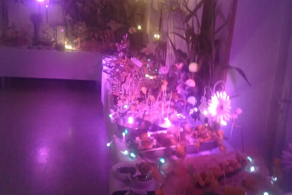 Prestige de chef — photo 7