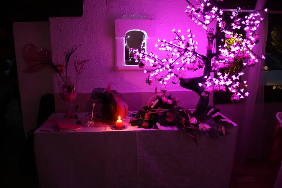 CCM Mariage — photo 6