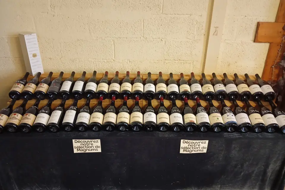 Cave de Martailly — photo 7