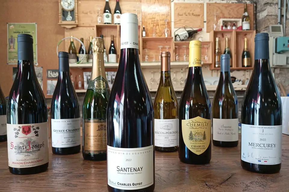 Cave de Martailly — photo 1