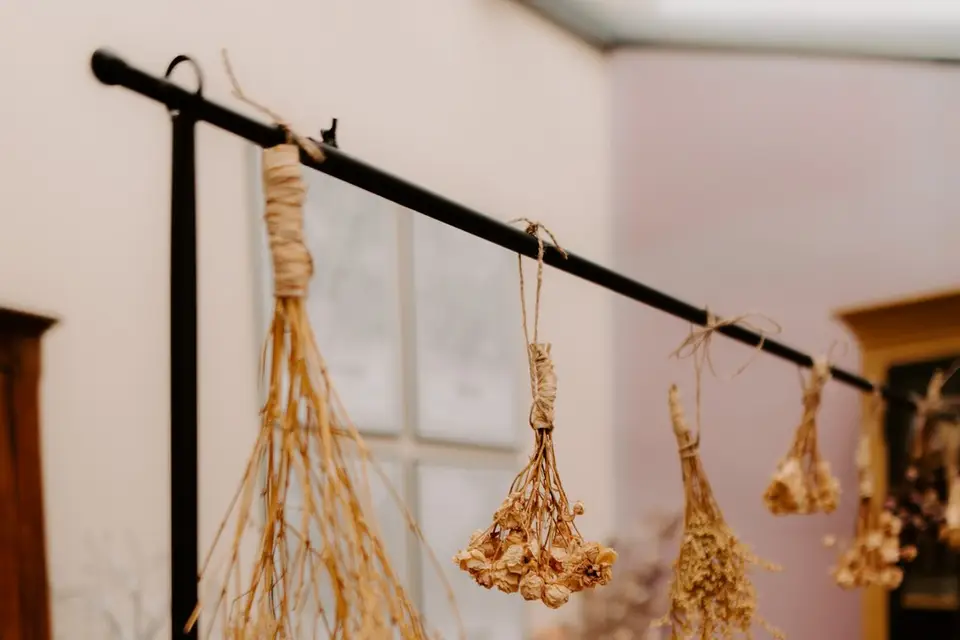 La Bohème Dijonnaise — photo 6