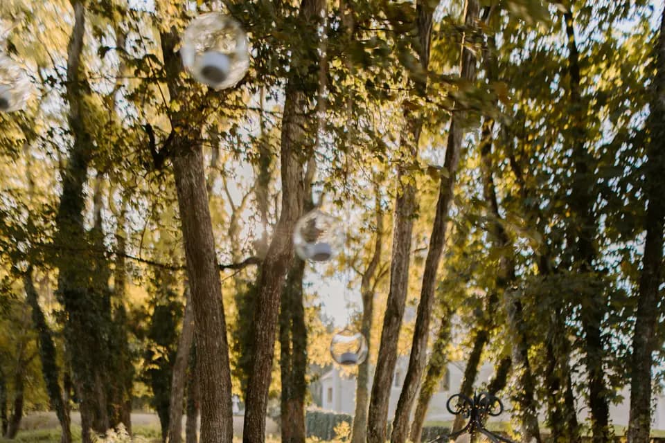 La Bohème Dijonnaise — photo 3