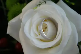 David Guihéneuf Photographie — photo 1