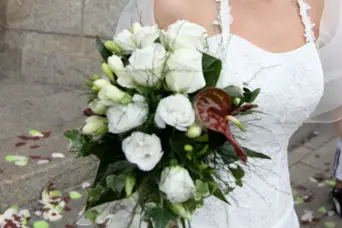 David Guihéneuf Photographie — photo 4