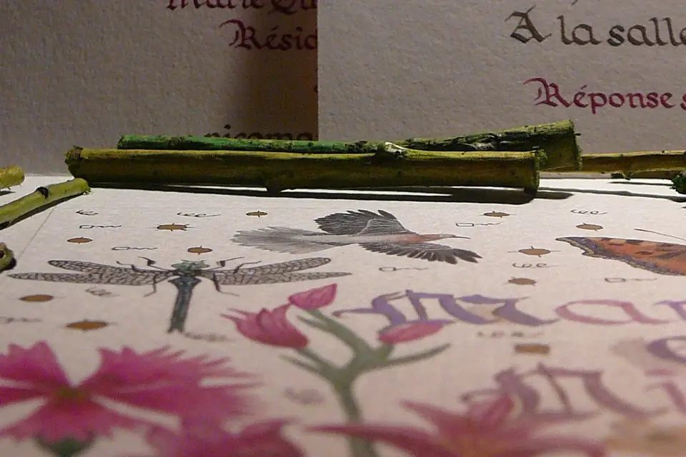 Or & Faire-part — photo 4