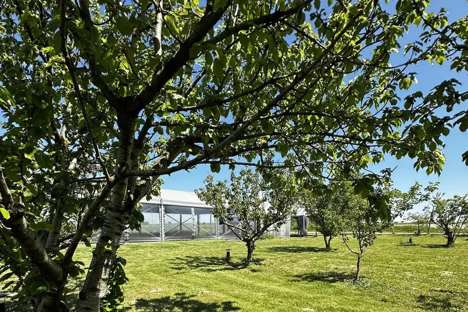 Domaine La Fourcade — photo 8