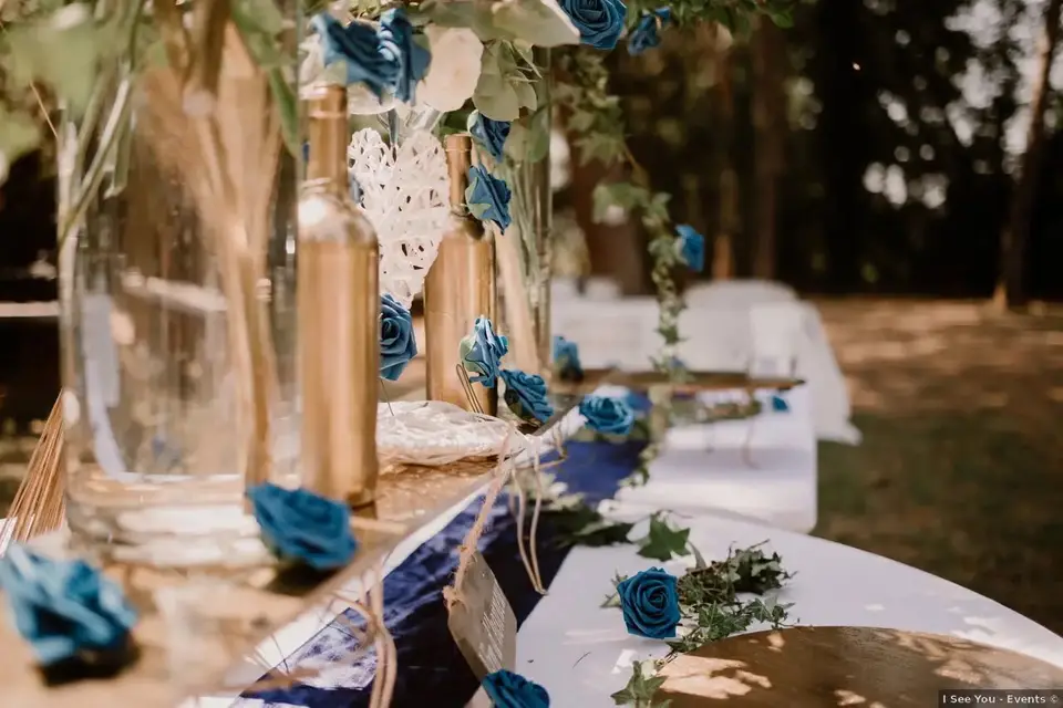 Domaine de Petit Vigne — photo 3