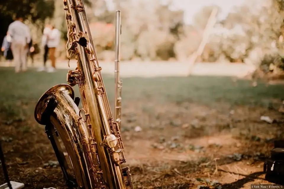 Domaine de Petit Vigne — photo 6