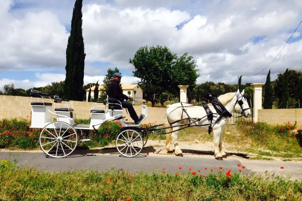 Elevage du Boulonnais — photo 3