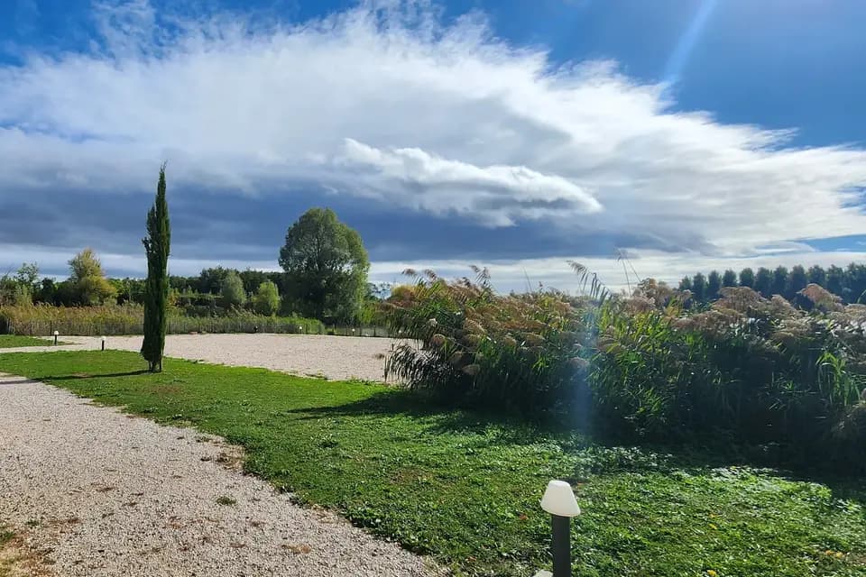 El Coco Loco — photo 3