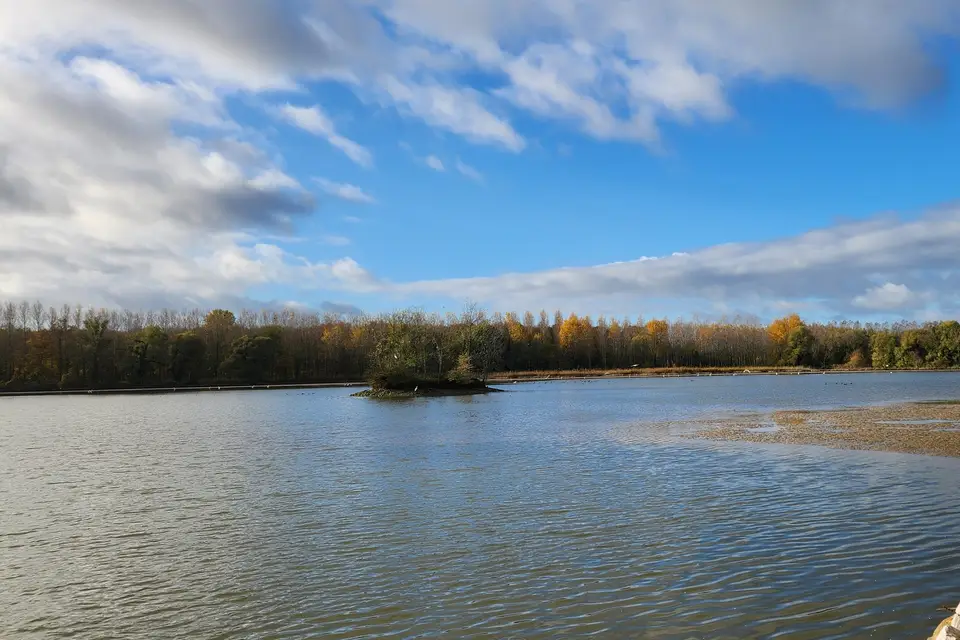 El Coco Loco — photo 8