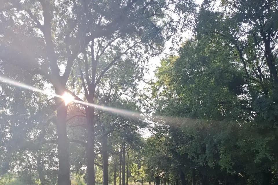 El Coco Loco — photo 7