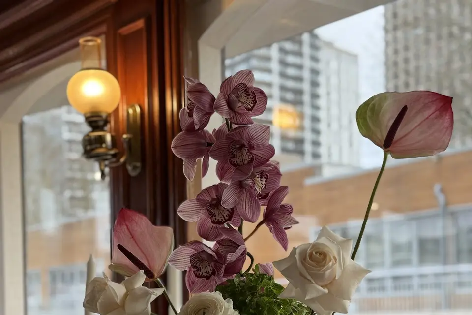 LookAtEvent — photo 7