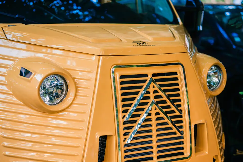 Jaldi Jaldi — photo 6