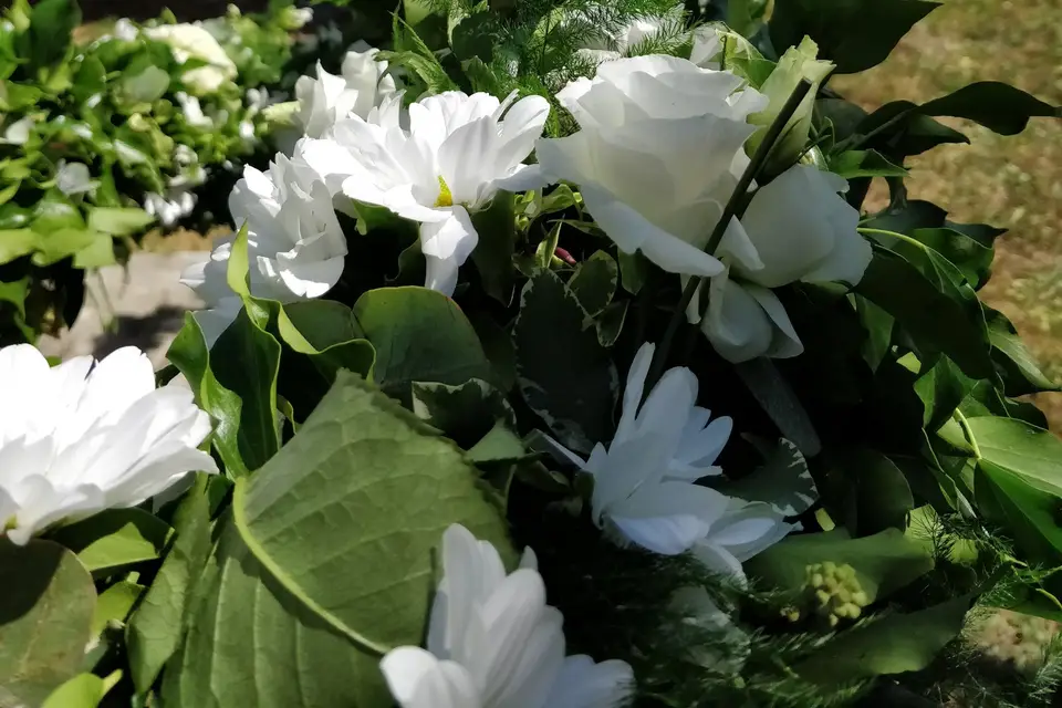 Fleur en scène — photo 4