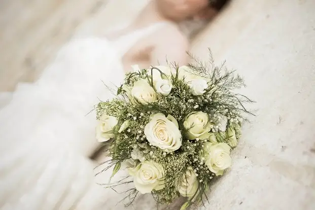 Gelinotte Photographie — photo 4