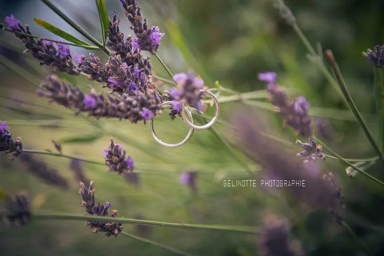 Gelinotte Photographie — photo 5