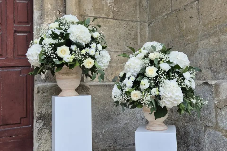 Lavande et Marguerite — photo 4