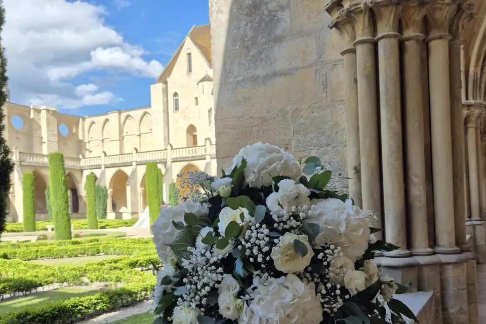 Lavande et Marguerite — photo 5